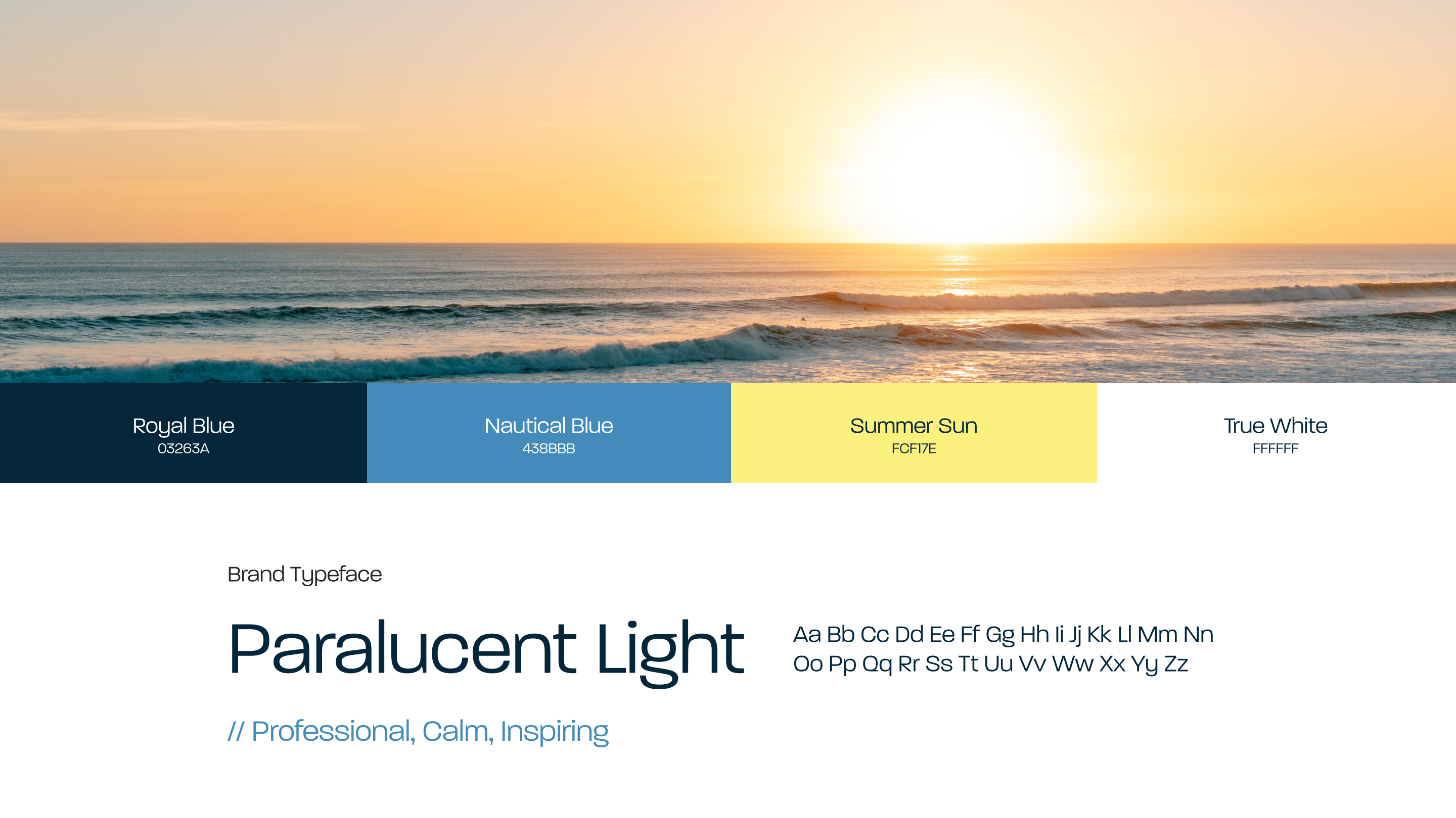 brand colors and type